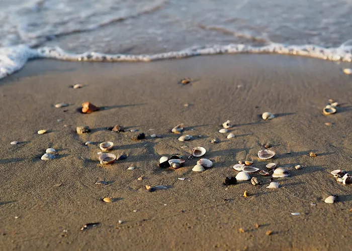 Seaside Bliss- Flat With View On The Pool 아파트 *